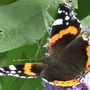 Dscf0044_1_