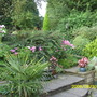 Pots and Steps