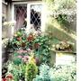 Front Cottage Garden