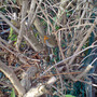 DSC00063_edited.jpg