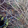 DSC00064_edited.jpg