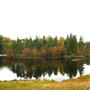 DSCN0100.jpg