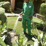 Hotel Gardener Watering
