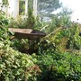 New_pictures4_106
