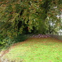 Dscn1136