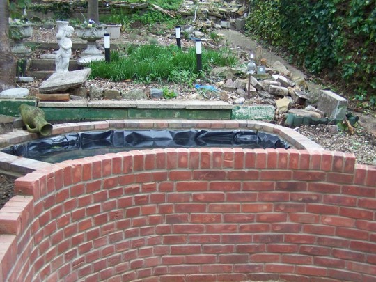 New Pond