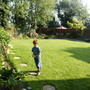 view from veg plot