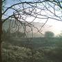 Goy_pics_001