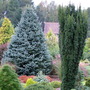 Foxhollow in early October