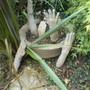 my planter is planted
