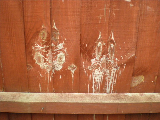 MY GARDEN FENCE