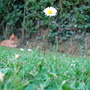 Dsc02119