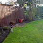 Dsc00074_edited
