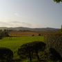 Strathmore Valley