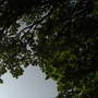 Strathmore Valley