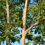 Friends_12_29_07_064