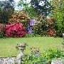 Moyclare Cornish Garden