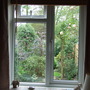 Through the window
