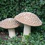 flyagaric mushrooms