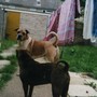 mother and son