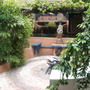 my garden now.realy overgrown lol