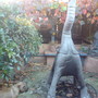 autum is uppon us