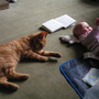 Toffee and grandaughter