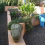 stone dragon