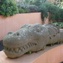 stone dragon other profile