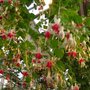 Dsc00270
