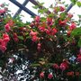 Dsc00279
