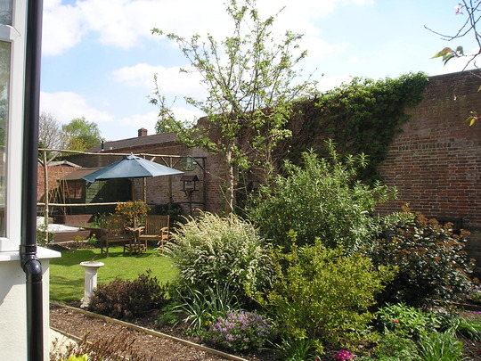 our garden