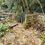 Compost bins with willow and pond