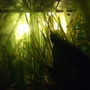 Inside the fish tank!