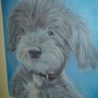 the oldest dog ive drawn