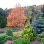 Foxhollow - Garden view