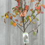 Gardening_blog