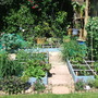Its Growing!! - May 07