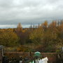 view from my bedroom.