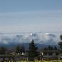 A winter view of  a property I maintain