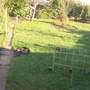 Middle Veiw Of My Garden In Feb 08