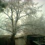 Copy_of_image_002741