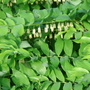 Dsc00146