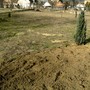 PICT0295.jpg