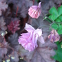 Dsc00207