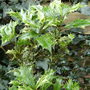 March_040