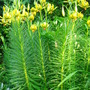 Dsc00208
