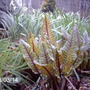 March14_006