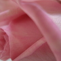 Dsc02740