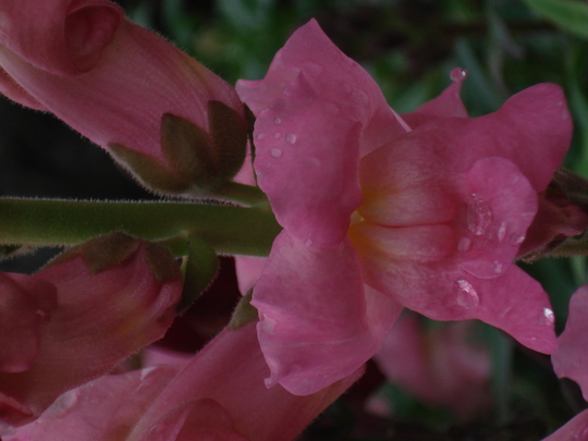 2006_0824Image0358.jpg